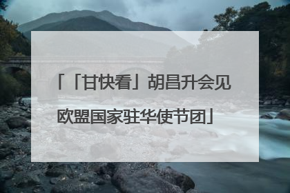 「甘快看」胡昌升会见欧盟国家驻华使节团