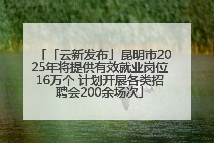「云新发布」昆明市2025年将提供有效就业岗位16万个 计划开展各类招聘会200余场次