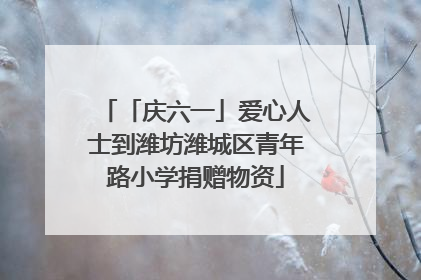 「庆六一」爱心人士到潍坊潍城区青年路小学捐赠物资