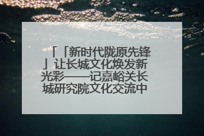 「新时代陇原先锋」让长城文化焕发新光彩——记嘉峪关长城研究院文化交流中心干部张晓燕