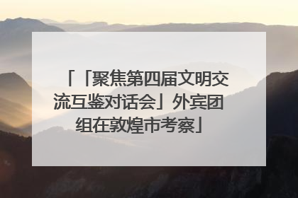「聚焦第四届文明交流互鉴对话会」外宾团组在敦煌市考察