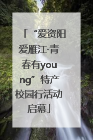 “爱资阳爱雁江·青春有young”特产校园行活动启幕
