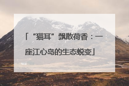 “猫耳”飘散荷香：一座江心岛的生态蜕变