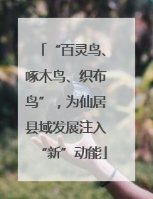 “百灵鸟、啄木鸟、织布鸟”，为仙居县域发展注入“新”动能