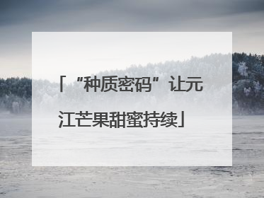 “种质密码”让元江芒果甜蜜持续