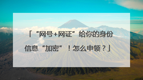 “网号+网证”给你的身份信息“加密”！怎么申领？