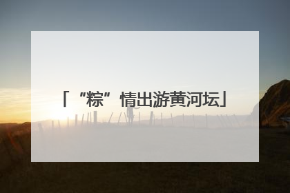 “粽”情出游黄河坛