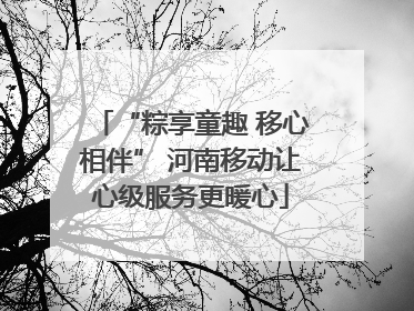 “粽享童趣 移心相伴” 河南移动让心级服务更暖心
