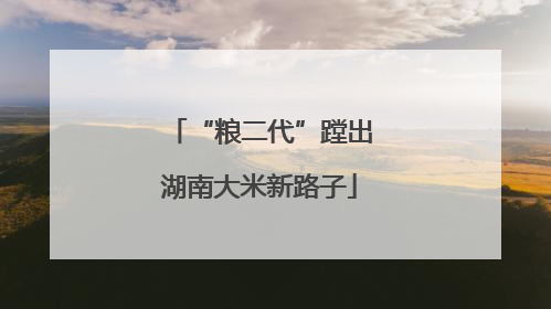 “粮二代”蹚出湖南大米新路子