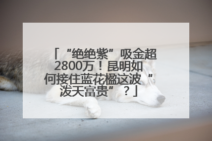 “绝绝紫”吸金超2800万！昆明如何接住蓝花楹这波“泼天富贵”？
