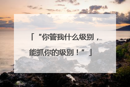 “你管我什么级别，能抓你的级别！”