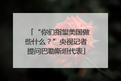 “你们指望美国做些什么？”央视记者提问巴勒斯坦代表
