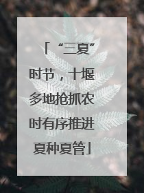 “三夏”时节，十堰多地抢抓农时有序推进夏种夏管