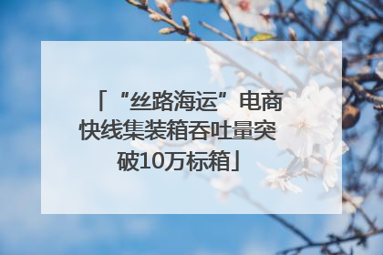 “丝路海运”电商快线集装箱吞吐量突破10万标箱