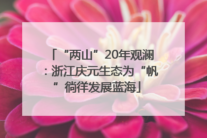 “两山”20年观澜：浙江庆元生态为“帆”徜徉发展蓝海