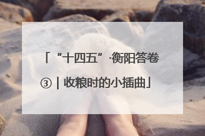 “十四五”·衡阳答卷③｜收粮时的小插曲
