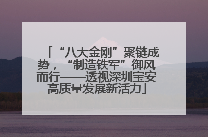 “八大金刚”聚链成势，“制造铁军”御风而行——透视深圳宝安高质量发展新活力