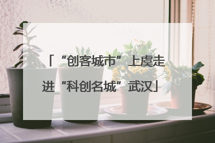 “创客城市”上虞走进“科创名城”武汉