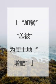 “加餐”“盖被” 为黑土地“增肥”
