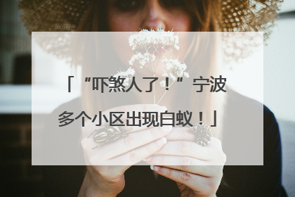 “吓煞人了！”宁波多个小区出现白蚁！