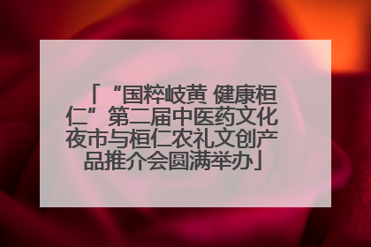 “国粹岐黄 健康桓仁”第二届中医药文化夜市与桓仁农礼文创产品推介会圆满举办