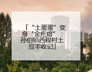 “土蛋蛋”变身“金疙瘩”：孙伯镇西程村土豆丰收记