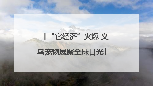 “它经济”火爆 义乌宠物展聚全球目光