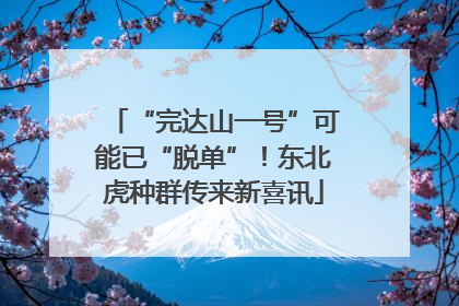 “完达山一号”可能已“脱单”！东北虎种群传来新喜讯