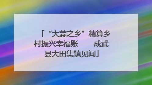 “大蒜之乡”精算乡村振兴幸福账——成武县大田集镇见闻