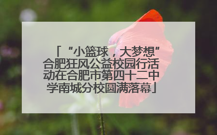 “小篮球，大梦想”合肥狂风公益校园行活动在合肥市第四十二中学南城分校圆满落幕