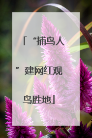 “捕鸟人”建网红观鸟胜地