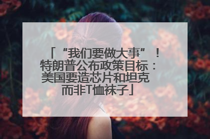 “我们要做大事”！特朗普公布政策目标：美国要造芯片和坦克 而非T恤袜子