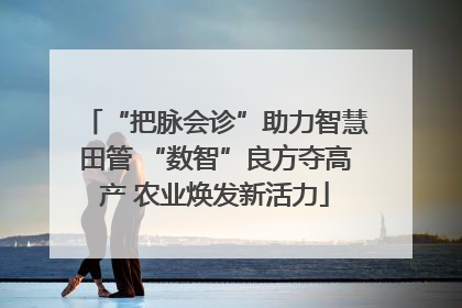 “把脉会诊”助力智慧田管 “数智”良方夺高产 农业焕发新活力