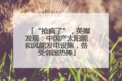 “抢疯了”，英媒发现：中国产太阳能和风能发电设施，备受邻国热捧