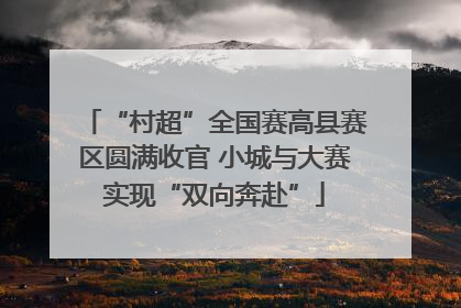 “村超”全国赛高县赛区圆满收官 小城与大赛实现“双向奔赴”