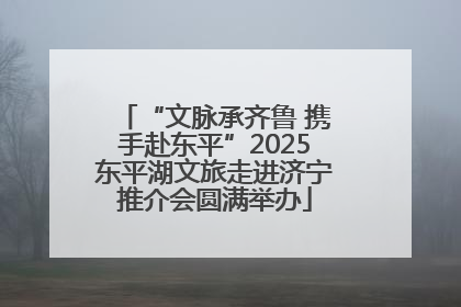 “文脉承齐鲁 携手赴东平”2025东平湖文旅走进济宁推介会圆满举办