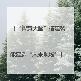 “智慧大脑”搭建智能建造“未来现场”