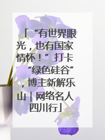 “有世界眼光，也有国家情怀！”打卡“绿色硅谷”，博主新解乐山｜网络名人四川行