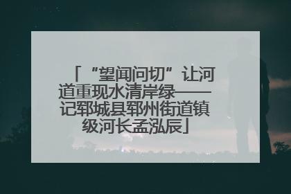 “望闻问切”让河道重现水清岸绿——记郓城县郓州街道镇级河长孟泓辰