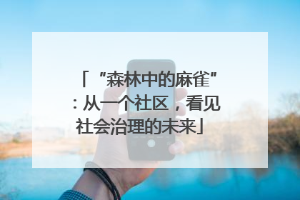 “森林中的麻雀”：从一个社区，看见社会治理的未来