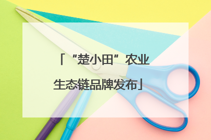 “楚小田”农业生态链品牌发布