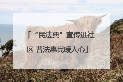 “民法典”宣传进社区 普法惠民暖人心