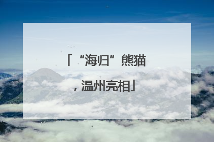 “海归”熊猫，温州亮相