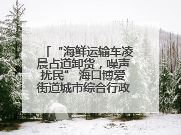 “海鲜运输车凌晨占道卸货，噪声扰民” 海口博爱街道城市综合行政执法中队：将联合交警加强长堤路一带巡逻