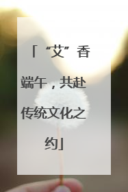 “艾”香端午，共赴传统文化之约