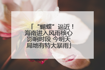 “蝴蝶”逼近！海南进入风雨核心影响时段 今明天局地有特大暴雨