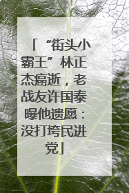 “街头小霸王”林正杰癌逝，老战友许国泰曝他遗愿：没打垮民进党