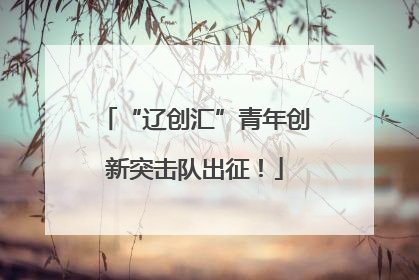 “辽创汇”青年创新突击队出征！
