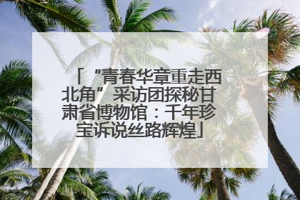 “青春华章重走西北角”采访团探秘甘肃省博物馆：千年珍宝诉说丝路辉煌