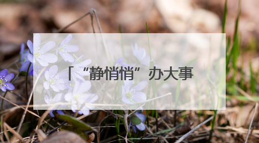 “静悄悄”办大事！去年厦门昼间达标率为100%